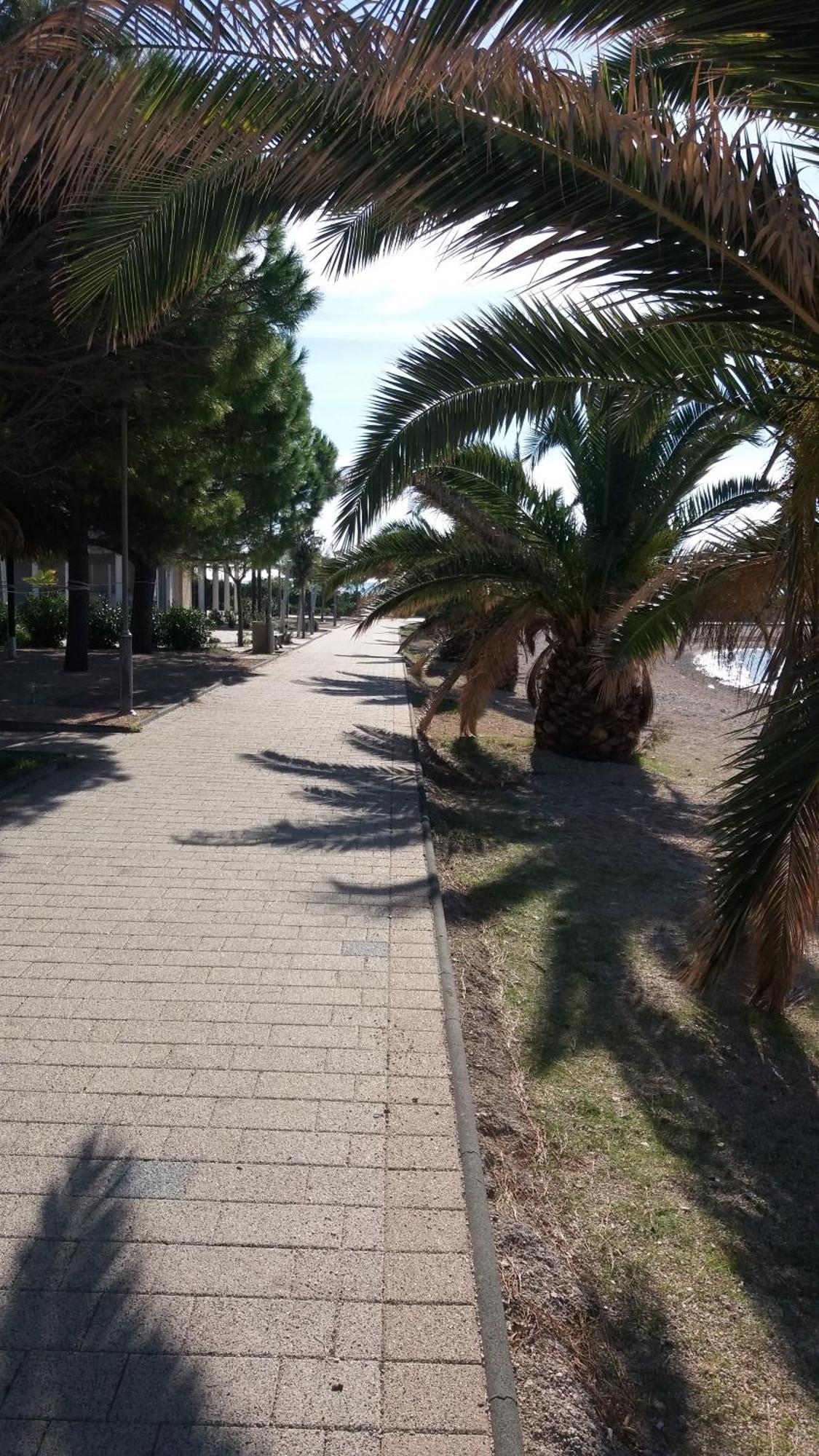 House Susec Daire Povljana Dış mekan fotoğraf