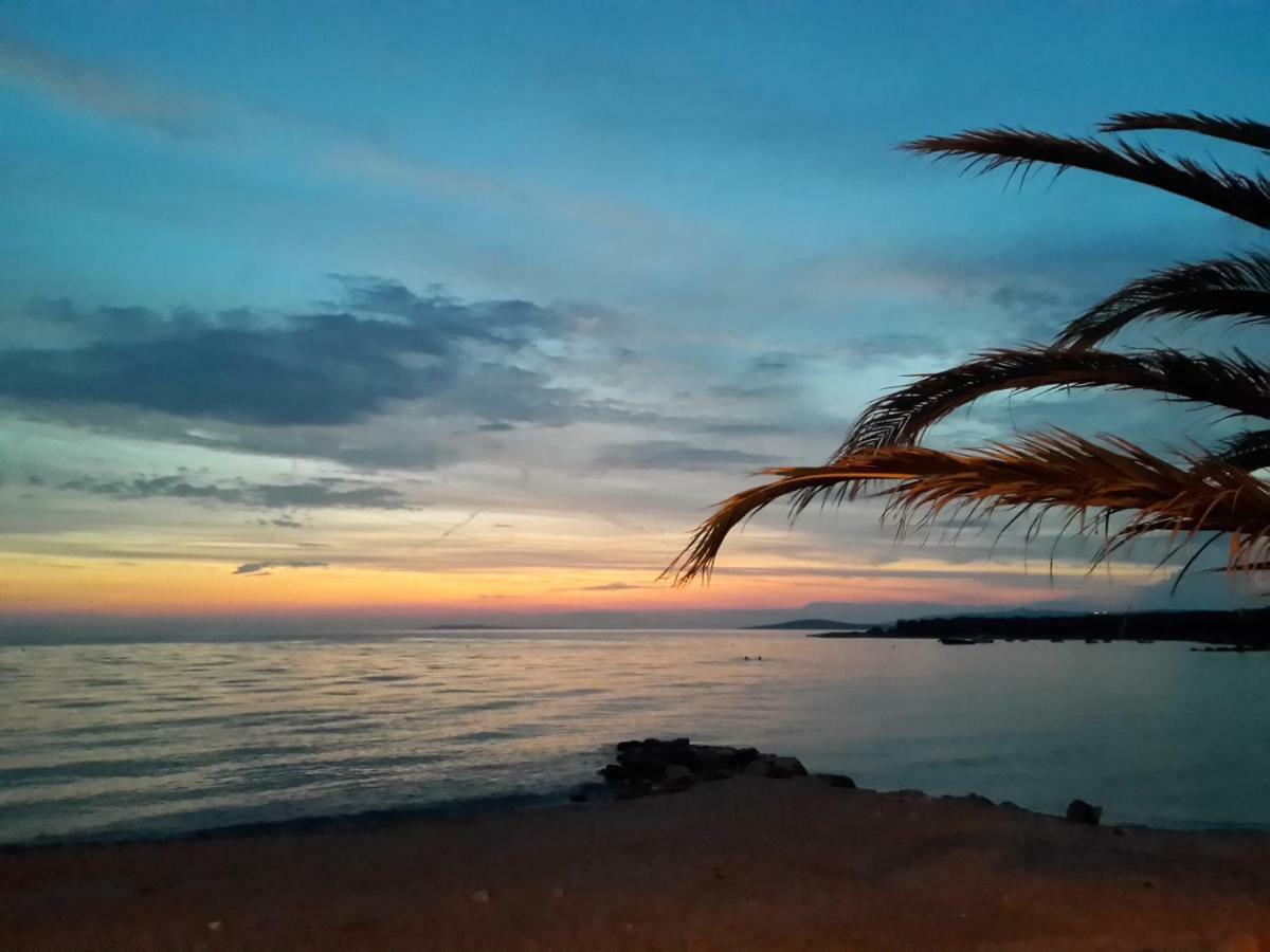 House Susec Daire Povljana Dış mekan fotoğraf